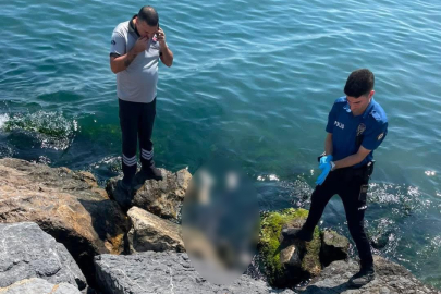Sahilde korkunç manzara: 3 kişinin cansız bedeni bulundu