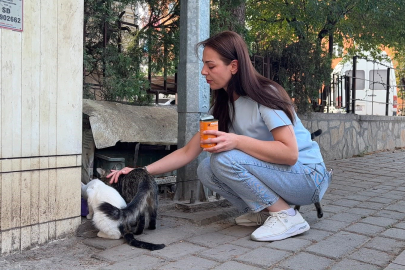 13 yıldır beslediği kediyi vahşice katlettiler: 'Tek suçum hayvan sevmekti'