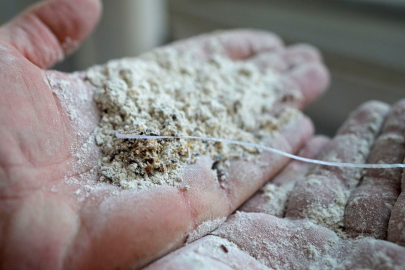 Un fabrikasında şoke eden görüntü: 30 ton böceklenmiş bozuk un ele geçirildi