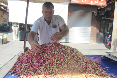 Yeni mahsul fıstık tezgaha indi: Kilosu 700 liradan satışta