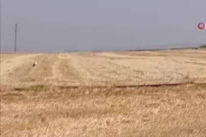 Göç yolculuğu sırasında eşini kaybetti: Günlerce başından ayrılmadı