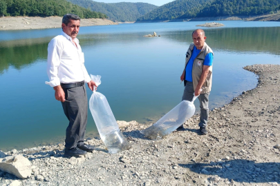 Orhaneli göletlerine binlerce sazan yavrusu bırakıldı