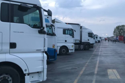 Tırında kaçak göçmen yakalanan şoföre mahkemeden emsal karar