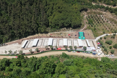 Gemlik'te hayvan bakımevi tartışması: Belediye iddiaları yalanladı