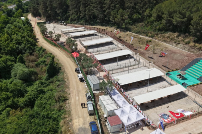 Hayvan hakları savunucularından Gemlik Belediyesi'ne barınak tepkisi