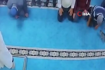 Camide kediyi tekmeleyen şahsa sosyal medyada tepki yağdı