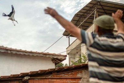 'Yaren' Leylek Adem amcaya veda etti: Göç yolculuğu başladı