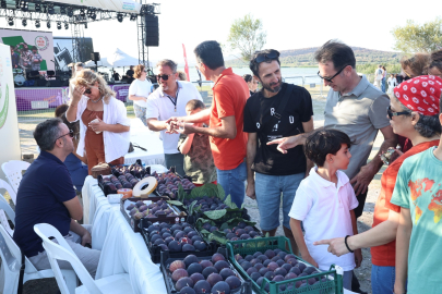 Nilüfer'de lezzet dolu buluşma: 12. İncir Festivali başlıyor