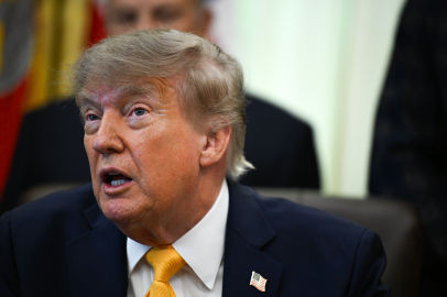 Trump'tan Almanya'daki aşırı sağın zaferine övgü: "Yükselişteler"