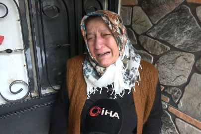 Kent Ormanı'ndaki ceset 8 aydır kayıp Tolgahan'a mı ait