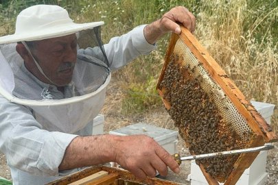 50 yıllık birikim: Emekli başgardiyan Avrupa'ya bal satıyor
