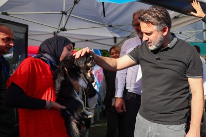 Bursa'da 'Satın alma, yuvam ol' çağrısı: 92 can sahiplenildi