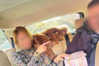 Yargıda rüşvet operasyonu: Eski hakim dahil 8 tutuklama