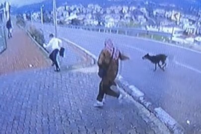 Bursa'da başıboş köpekten kaçan bir çocuk bacağını kırdı