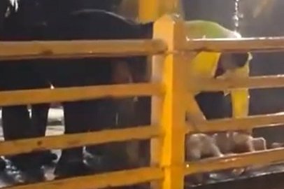 Yalova'da yağmurun durması için kurban kestiler