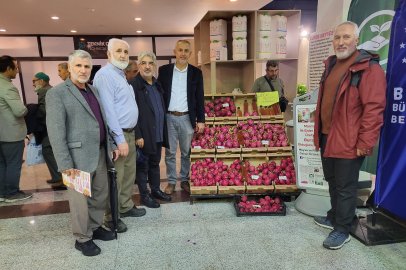 ESDER'den acil çağrı: Girdi maliyetleri düşürülsün, ağaçlar sökülmesin