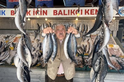 Son 25 yılın en bol sezonu: Palamutta fiyatlar dibe vurdu