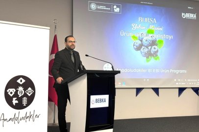 Bursa yaban mersini için yol haritası: BEBKA'dan stratejik çalıştay