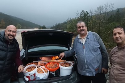 Orhaneli Dağlarında İlk Melki Kanlıca Mantarı Toplanmaya Başlandı