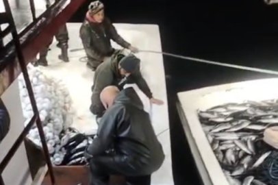 Ağlar palamutla doldu taştı: 5 bin balık tekneye sığmayınca yardıma diğer balıkçılar koştu!