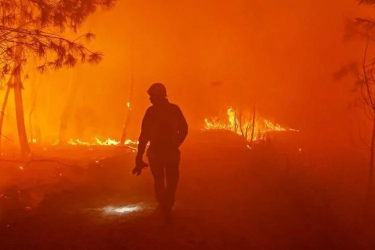 Avrupa'daki orman yangınları en yoğun seviyede