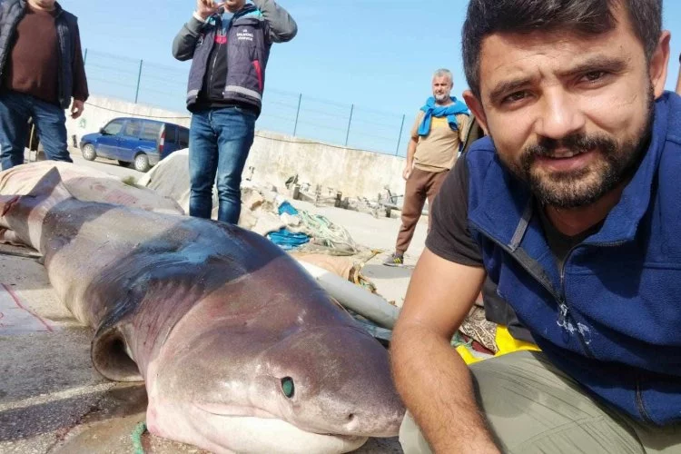 Bursa'da 1 tonluk köpekbalığı ile özçekim!