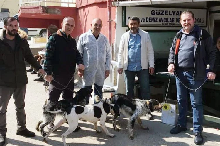 Bursa'da av hayvanlarına kimlik