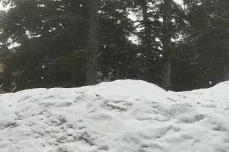 Uludağ'da yoğun kar yağışı