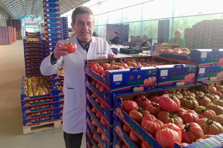 Avrupa Bursa'da üretilen domateslerden almak için sırada!