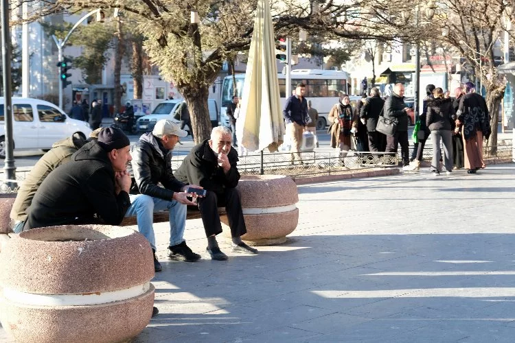 Son yılların en sıcak kış ayını geçiren Erzincan’da vatandaş şaşkın