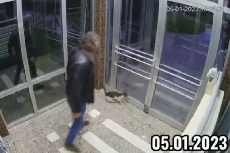 Tepki çeken görüntüler: Binaya kapattığı kediyi tekmeleyerek dövdü
