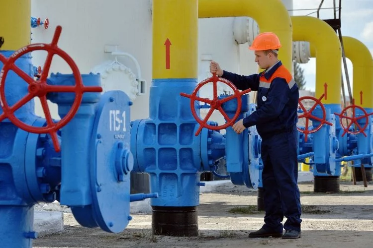 Bakan Dönmez: Türkiye'nin Rus doğalgazına bağımlılığı yüzde 40