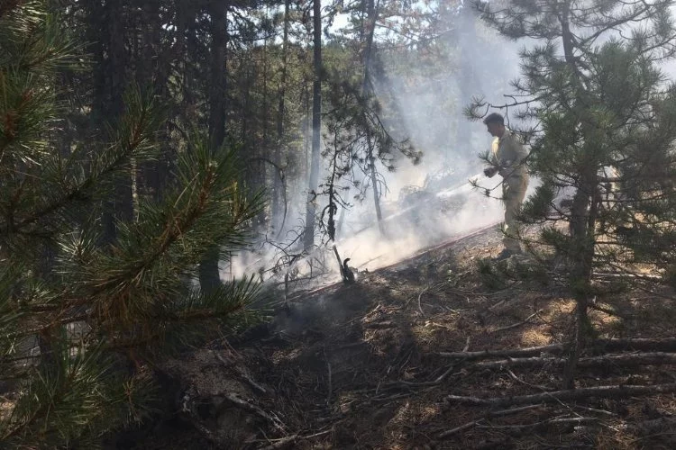 Bolu'da orman yangınına erken müdahale felaketi önledi