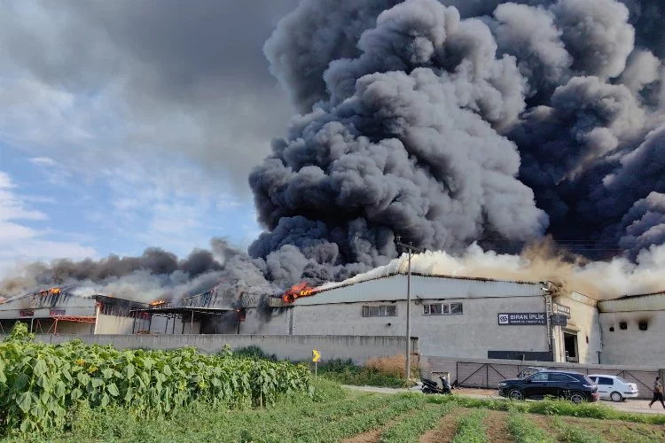 Bursa'da 10 fabrikayı küle çeviren yangında ağır bilanço