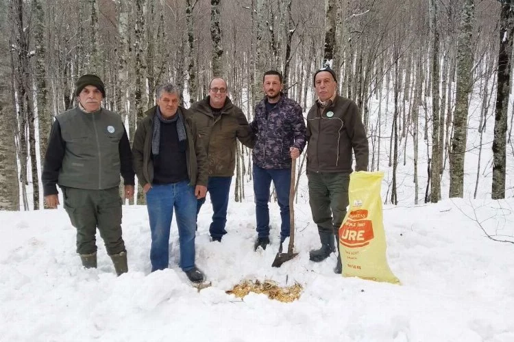 Bursa'da avcılar yabani hayvanlar için yem bıraktı