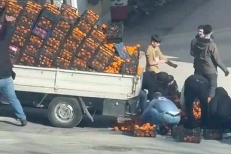 Bursa’da kamyonetten dökülen mandalinalar için herkes seferber oldu