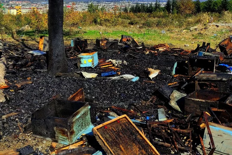 Bursa'da katliam: 400 kovan arıyı diri diri yaktılar