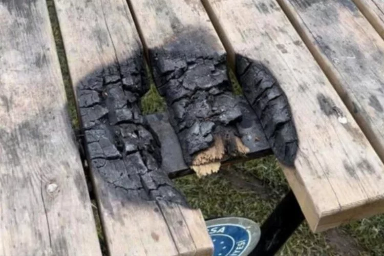 Bursa'da magandalar piknik masasını yaktı