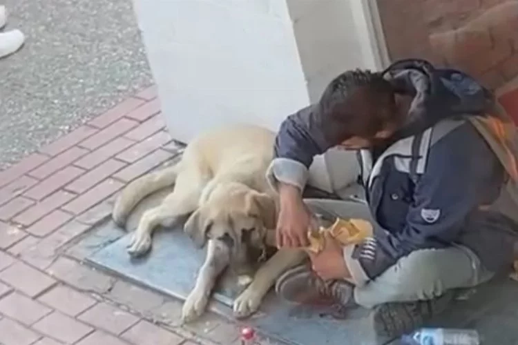 Bursa'da yemeğini köpek ile paylaştı, sosyal medyada büyük beğeni topladı