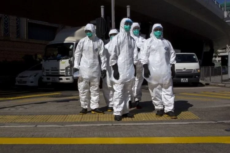 Çin'de H3N8 kuş gribinde ilk insan vakası
