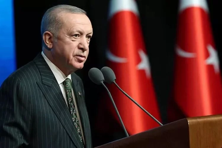 Cumhurbaşkanı Erdoğan'dan İBB'ye ağaç tepkisi