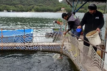 Deprem balık ihracatını da vurdu