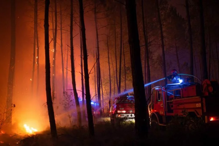 Sultangazi'de orman yangınında kundaklama iddiası