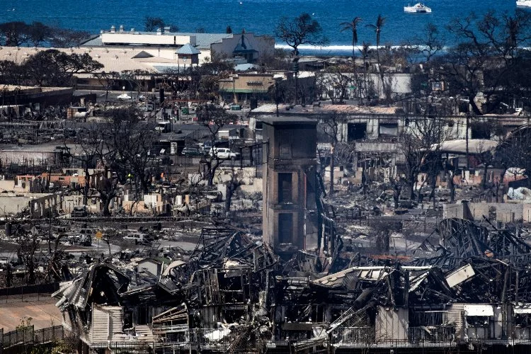 Hawaii'deki orman yangınlarında can kaybı artıyor