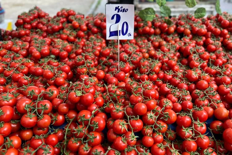 İhracat kısıtlaması getirilen domatesin fiyatında düşüş