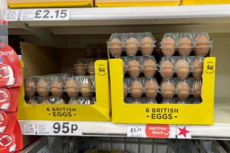 İngiltere'de süpermarketlerde yumurta satışına sınırlama