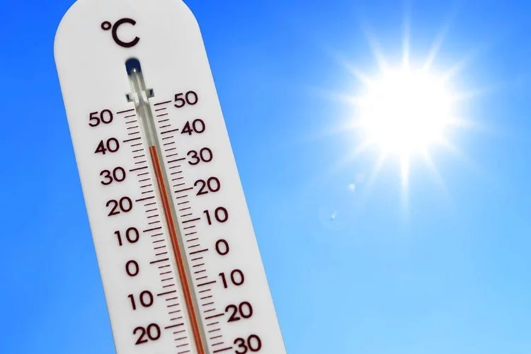 Dünya kavruluyor: Üst üste 4 gün sıcaklık rekoru kırıldı