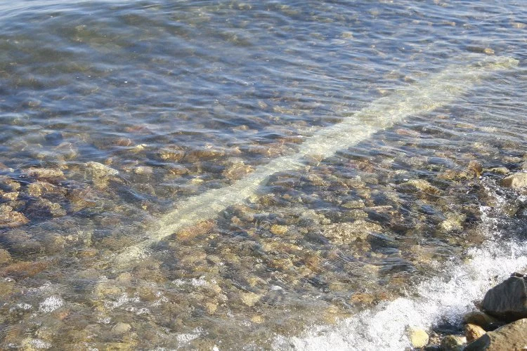 İznik Gölü'nde su çekilince bulundu! İnceleme başlatıldı