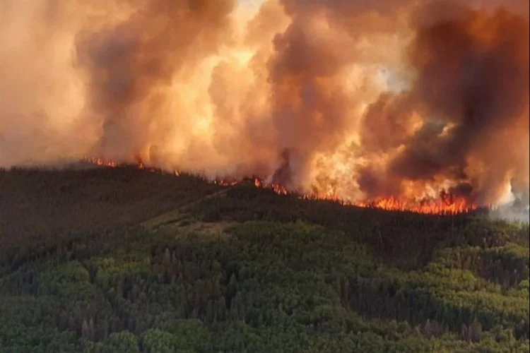 Kanada orman yangınlarına teslim: Ege Bölgesi kadar alan yandı