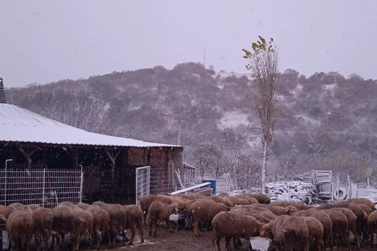 Kar, Balkanlar'dan Edirne'ye giriş yaptı: Sınır köyleri beyaza büründü